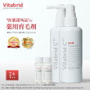 【公式 ビタブリッドC ヘアートニック EX】医薬部外品 育毛剤 2本 薬用育毛トニック ヘアトニック スカルプケア 薬用育毛剤 薬用トニック 育毛ローション 養毛 育毛 薄毛対策 薄毛 抜け毛対策 抜け毛予防 送料無料 ギフト