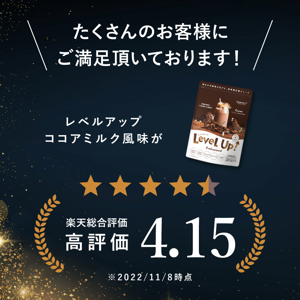 ビタブリッドジャパン レベルアップ プロフェッショナル ココアミルク 