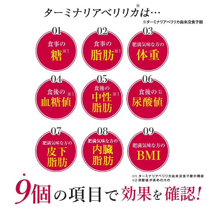 楽天市場】＼10日まで☆クーポンで5%OFF／ターミナリアファースト 機能 