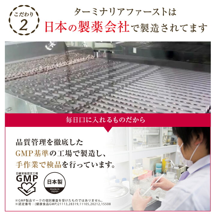 楽天市場】【ターミナリアファースト お試し 約14回分】しがみついた 