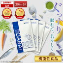【4日20:00~11日01:59まで★クーポンで15%OFF】Daily GABA ギャバ GABA サプリメント 1袋約15回分 4袋入り 2ヶ月分 デ…