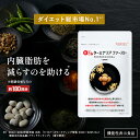 ターミナリアファースト ダイエットサポートサプリ 機能性表示食品 ターミナリア ターミナリアベリリカ サプリ 肥満気…