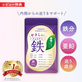 フェリチン鉄 やさしい 鉄分サプリ 栄養機能食品 鉄分 亜鉛 葉酸 ビタミンD ビタミンB6 ビタミンB12 メリロート 鉄 サプリ サプリメント 鉄不足 ビタブリッドジャパン 親子 子供 女性 60粒 約30回分