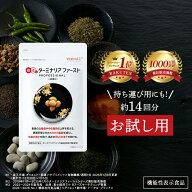 【 お試しサイズ 】ターミナリアファースト ダイエットサポートサプリ 機能性表示食品 ターミナリア ター…