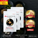 ＼10%OFF／ターミナリアファースト ダイエットサポートサプリ 機能性表示食品 ターミナリア ターミナリアベリリカ サ…