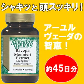 楽天市場 物忘れ サプリメントの通販