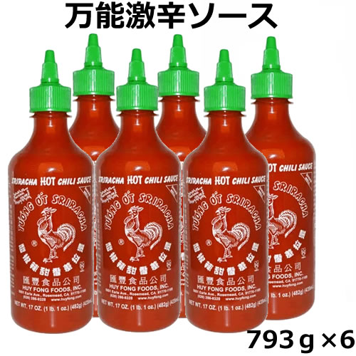 超美品の 在庫処分 Bigスリラチャソース 793g×6本 シラチャ ホット チリソースタバスコのような感覚で料理にパンチを効かせるホットソースHuy Fong Sriracha Hot Chili Sauce Bigシラチャーソース 793ｇ×6本 スリラチャソース チリソース シラチャソースアメリカではどこにいっても置いてある定番の人工着色料フリーのHOTスパイシーソース狂的な信者もいるヤミツキ スリラーチャソースかわいいパッケージも word.evaroodman.com word.evaroodman.com