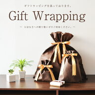 【対象商品と同時購入専用】プレゼント用 ラッピング 袋 リボン 贈り物に最適 VitaFelice ギフト 梱包 プ…