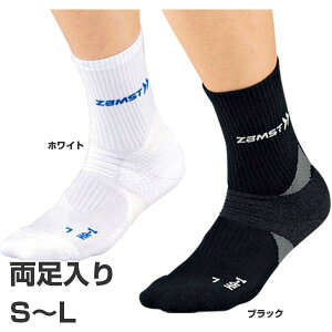 UXg Y fB[X HA-1 C \bNX M[ ALXFT|[g  zCg  ubN   ZAMST 375101 375102 375103 375111 375112 375113