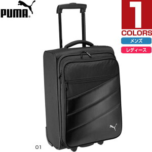 33L v[} Y fB[X g[[ obO X[cP[X ubN   PUMA 072373