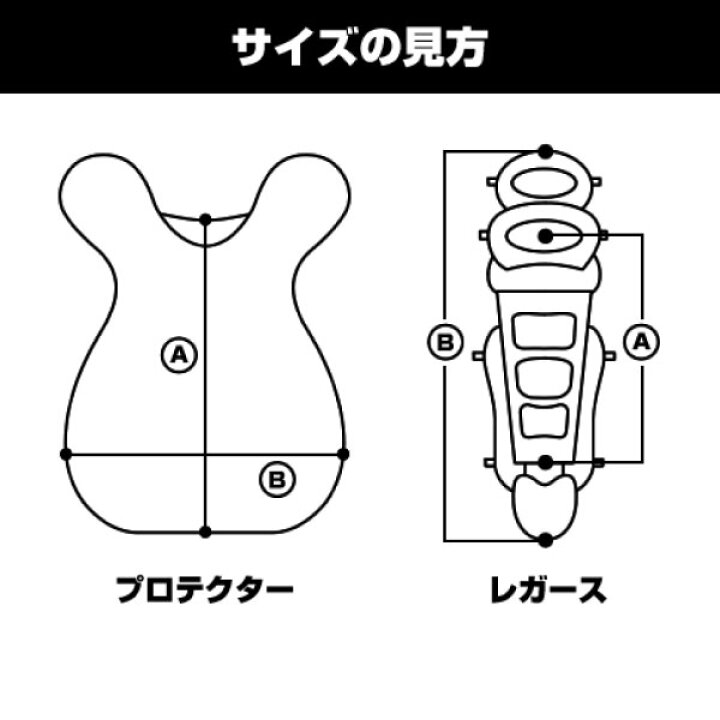独特の上品 エスエスケイ SSK CSLJ110C ジュニアソフトボールキャッチャー用レガーズ riosmauricio.com 独特の上品 エスエスケイ SSK CSLJ110C ジュニアソフトボールキャッチャー用レガーズ riosmauricio.com
