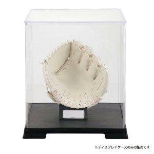 [bg싅 Y fB[X WjA LOOuP[X 싅pi fBXvCP[X NOuE~bgTCY  ZETT BGC2