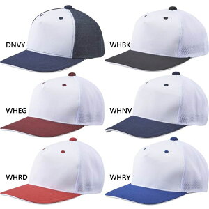 fTg Y tgplLbv C-7001 싅 싅X Xq zCg  lCr[  DESCENTE C7001