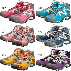 2E Lo fB[X C4 03 oRC Ro gbLOV[Y O[ lCr[ u[  sN DF  CARAVAN 0010403