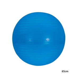 バランスボール 65cm 送料無料の人気商品 通販 価格比較 価格 Com バランスボール 65cm 送料無料の人気商品 通販 価格比較 価格 Com