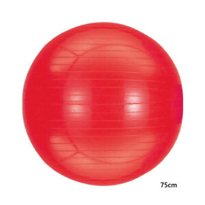 75cm Goj[ Y fB[X WjA W{[ X|[cp K g[jO B ؃g ̊ tBbglX  oX{[  EVERNEW ETB625