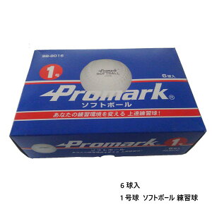 6球入 1号球 サクライ貿易 ジュニア キッズ 練習用 ソフトボール ソフトボール ホワイト 白 送料無料 SAKURAI SB-8016