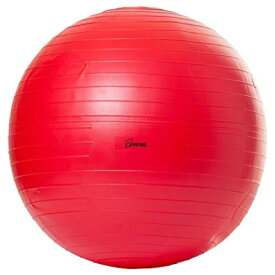 直径55cm トーエイライト メンズ レディース ボディーボール バランスボール ヨガ エクササイズ フィットネス ダイエット 姿勢矯正 体幹トレーニング レッド 赤 送料無料 TOEILIGHT H7261
