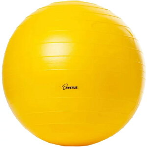 ���a45cm �g�[�G�C���C�g �����Y ���f�B�[�X �{�f�B�[�{�[�� �o�����X�{�[�� ���K �G�N�T�T�C�Y �t�B�b�g�l�X �_�C�G�b�g �p������ �̊��g���[�j���O �C�G���[ ���F �������� TOEILIGHT H7260