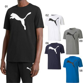 プーマ メンズ アクティブ ACTIVE ビッグロゴ Tシャツ フィットネス トレーニングウェア トップス 半袖 ホワイト 白 ブラック 黒 グレー ブルー 青 灰色 送料無料 PUMA 588860