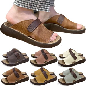 Qb^ fB[X O~t  [ T_ V[Y  ItBX zCg  O[ u[ uE  CG[ sN F DF F  RegetA R500