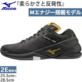 ミズノ メンズ レディース ウエーブ ステルス ネオ NEO ハンドボールシューズ 屋内 室内 ブラック 黒 送料無料 Mizuno X1GA2000