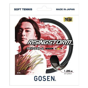 S[Z Y fB[X CWOXg[ RISINGSTORM ejXpi Kbg ejX \tgejX ubN   GOSEN SSRS11SB