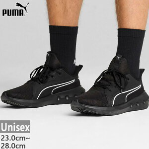 v[} Y fB[X \tgCh SOFTRIDE J[\ Xj[J[ V[Y RC g[jOV[Y W tBbglX ubN   PUMA 310154