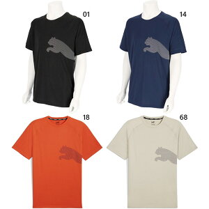 v[} Y g[jO I[fC rbOLbg TRAIN ALL DAY BIG CAT TVc gbvX tBbglX g[jOEFA ubN  lCr[ bh   PUMA 525939