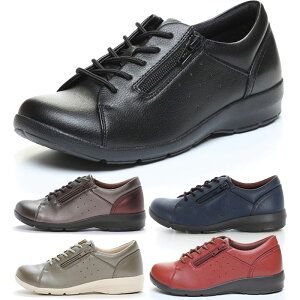 4E L Ch [X^[ fB[X Cu EVE 313 EH[LOV[Y O T|[g y RtH[gV[Y ubN  lCr[ bh  J[L  MoonStar 12421082 124