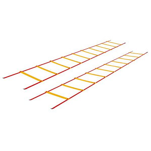 4m×2g A jVX|[c Y fB[X t@[Xgtbg_[II g[jOpi tbg[N  NISHI NT7704A