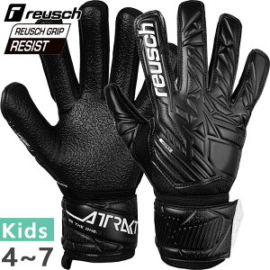 CV WjA LbY AgNg WXg TbJ[ S[L[p[O[u GK lH y ubN   reusch 5562615