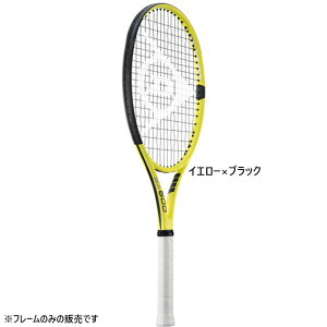 _bv Y fB[X SX 600 dPbg I[Ehf t[̂ CG[ F  DUNLOP DS22204