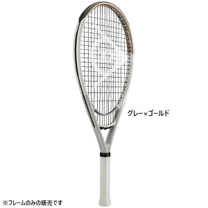 _bv Y fB[X LX 1000 dPbg 115C`f t[̂ ejX O[ DF  DUNLOP DS22408