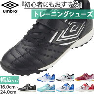 ワイド幅 アンブロ ジュニア キッズ 1本ベルト アクセレイタ- SB JR WIDE サッカー トレーニングシューズ…