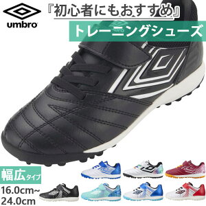 Ch Au WjA LbY 1{xg ANZC^- SB JR WIDE TbJ[ g[jOV[Y ^[tV[Y xN zCg  ubN  UMBRO