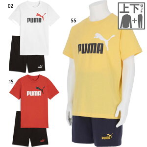 ㉺Zbg v[} WjA LbY GbZV J[ 2 COLOR No1 Logo TVc and V[c Zbg TVc gbvX n[tpc {gX zCg  bh  CG[ F 