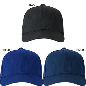 fTg Y fB[X AJLbv 싅pi Xq 싅X ubN  lCr[ u[   DESCENTE DB5SCP00M