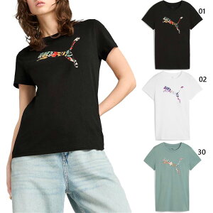 v[} fB[X OtBbNX GRAPHICS t[ Lbg S TVc tBbglX g[jOEFA gbvX TVc JWA zCg  ubN  O[  