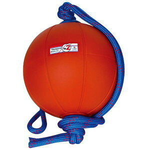 2kg jVX|[c Y fB[X XEBOfBV{[ ㋣Z g[jOpi IW  NISHI T5912