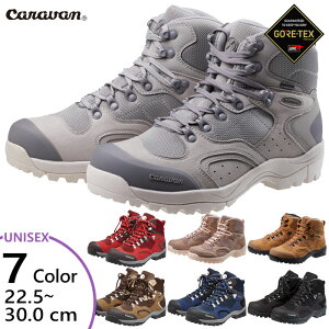 3E Lo Y fB[X C-1 02S oRC Ro gbLOV[Y ubN  O[ lCr[ uE J[L F DF  CARAVAN 0010106