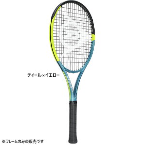 _bv Y fB[X 25SX 300 cA[ TOUR dPbg AX[gf t[̂ ejX CG[ F  DUNLOP DS22500