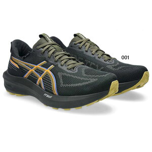 普通幅 アシックス メンズ GT-1000 14 ゴアテックス GTX ランニングシューズ ジョギング マラソン 防水 GORE-TEX ブラック 黒 送料無料 asics 1011C078