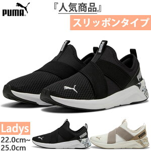 v[} fB[X \tgCh SOFTRIDE n[ XbvI M Xj[J[ Xb| W nYt[V[Y zCg  ubN   PUMA 311952