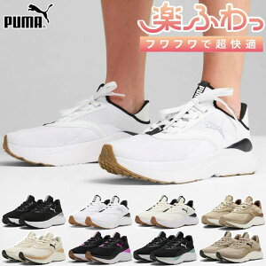 v[} fB[X \tgCh SOFTRIDE Cu Xj[J[ V[Y RC  [Jbg zCg  ubN   PUMA 310160