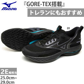 2E幅 ミズノ メンズ レディース ウエーブライダーGTX 3 ランニングシューズ ジョギング マラソン ゴアテックス 防水 ブラック 黒 送料無料 Mizuno J1GC2577