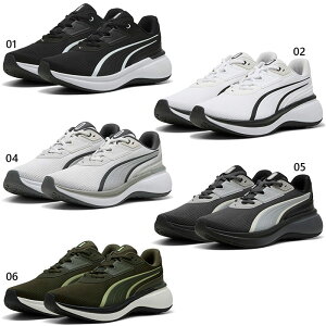 v[} Y fB[X \tgCh EXO jOV[Y WMO }\ ubN  O[ DF  PUMA 311722