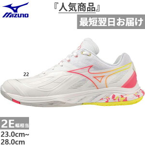 2E幅 フィットタイプ ミズノ メンズ レディース ウエーブファング 2 FIT バドミントンシューズ ホワイト 白 送料無料 Mizuno 71GA2312