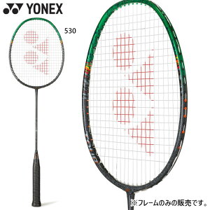 lbNX Y fB[X AXgNX99cA[ oh~gPbg ubN   YONEX 3AX99T