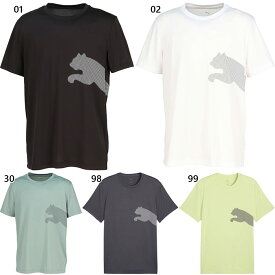 プーマ メンズ ビッグロゴ TAD BIG LOGO Tシャツ フィットネス トレーニングウェア トップス 半袖Tシャツ ホワイト 白 ブラック 黒 グレー グリーン 灰色 緑 送料無料 PUMA 527364